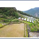 오사리 태양광발전소 이미지