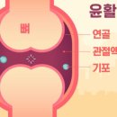 바른소리의원 네이버블로그