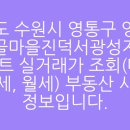 살구골서광·성지·동아·진덕 이미지