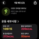 겨울 파도 맛집 양양! 13주간의 레벨업, 양양서핑학교 겨울학기 7주 차 생생 후기