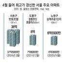 강남-223 이미지