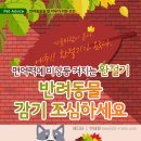 다솜동물병원 이미지