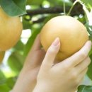 좋구먼 토속음식 이미지