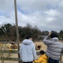 효원목장 이미지