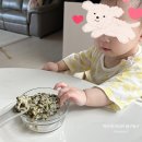 부천 현대백화점 중동점 루솔 이유식 4단계 후기