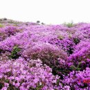 다시초등학교 이미지