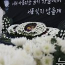 대전선유초등학교 이미지