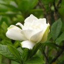 마인드7 이미지