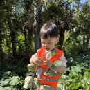 자연사랑어린이집 놀이터 이미지