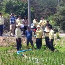 미라벨 제주 이미지