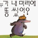 (유)동화운수 | 도키도키 강릉에서의 1박2일 ㅣ 강릉맛집, 중앙시장, 짐보관, 세인트존스강릉, 경포비치비어축제, 경포...