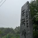 스테이 하시 | 고양 흥국사 템플스테이 후기
