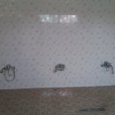 춘장대캠핑장 이미지