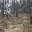 선학산 Daum카페