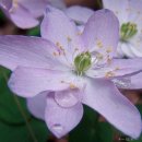 참손길안마원 이미지