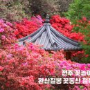 아가페정양원 네이버블로그