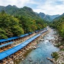 산북리쉼터 - 1501 | 2026 완주 운주계곡 평상 & 대둔산 완전정복 | 대둔산 도립공원 야영장 명당 + 화심순두부 미식 코스