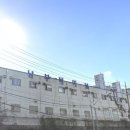 터미널 - 장흥군 | 터미널