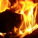 행정사 사무소 창 이미지