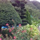 공개농장 이미지