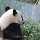 간식창고 이미지