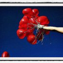 건강동물약국 이미지