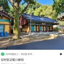 335차 역탐 ᆢ죄송한 마음에 가래떡찬조맛집을 찿아서 ( 8000 원의 맛난 부페) 이미지