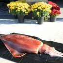 한치펜션 이미지