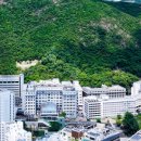 S-0111 | 홍콩 출산 사립 병원과 공립 병원 중 어디를 선택해야할까?