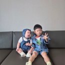 호반할인마트 | [충청북도 2박 3일 가족여행 2] - 청풍 호반 케이블카 단양 다누리아쿠리아리움/ 단양 소노벨 이용후기