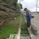 제주 수월봉 화산쇄설층 이미지