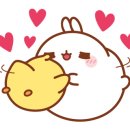 중앙해수랜드 이미지