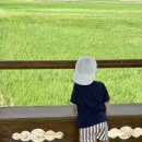 신리 | 아기와 함께 느긋한 당진여행 왜목마을 해수욕장 신리성지 후기