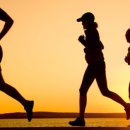 독일프리미엄보청기 이미지