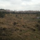 신풍농장 이미지