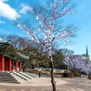 용산-103 이미지