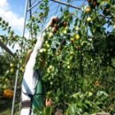 보은농장 이미지