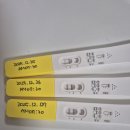 보성아산병원_지상1층 | 임신 5주차 아기집 확인 준비, 임신확인서 발급 후기 (삼성미즈병원 오픈런)