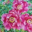 전라북도립미술관 이미지