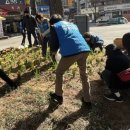 정원의 조성과 관리 이미지