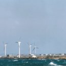 비바 태양광발전소 이미지