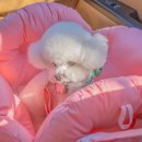 운남동로3번길 이미지