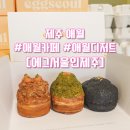 에그서울인제주