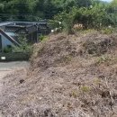 정촌면-2 이미지