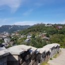 김상채 | 멋대로 이야기 찾아 시작된 길...