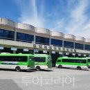 (유)진도관광여행사 이미지