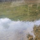 월악산 꽃피는 산골 이미지