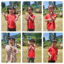 폴짝폴짝 이야기 숲 이미지