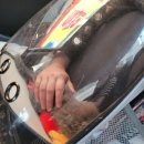 말바우동물병원 이미지