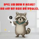 신화세탁소 | 세탁소 사장님 눈물 흘릴 가성비.. 6중날 보풀제거기 1위는 역시 다르네요 (체감가 2만원대)